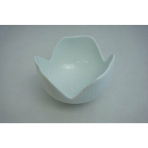 R@@Lcā@{@@t@aH ϋ ̃fp[gON 