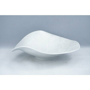 Aω_ʃJ[r[@Lcā@{@hgM@t@@aH ϋ ̃fp[gON 