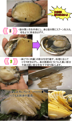 楽天市場 お刺身用 殻付あかね鮑 アワビ あわび 約１００ｇ 食品のネットスーパー さんきん