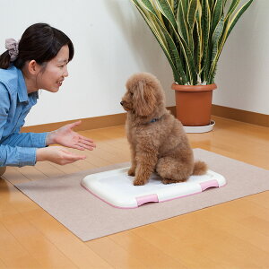 2020Jn!撅őy25OFFN[|z gC  h~  􂦂 YȂ ybgpgC~}bg 60×90cm z TR[