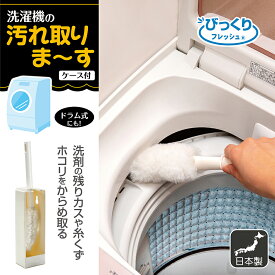 洗濯機 ドラム式 洗濯槽 ホコリ 糸くず すきま汚れ 時短 びっくり洗濯機の汚れ取ります びっくりフレッシュ サンコー 掃除 埃取り おそうじブラシ ドラム式洗濯機 お掃除ブラシ ホコリ取り ケース付き ハンディモップ