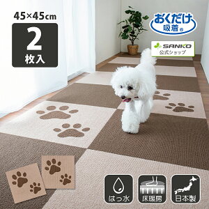 1I撅/őy25OFFN[|zzу}bg  45×45cm 2 z TR[  􂦂 rO ƒp ItBX  qǂ Ԃ ybg 