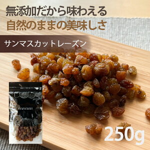 hCt[c [Yy1000~OFF N[| zzzhCt[c sgp Y T}XJbg [Y 250g ICsgp Ԃǂ َq p  ܂  