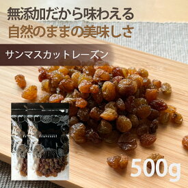 ドライフルーツ レーズン【500円OFF クーポン 配布中】ドライフルーツ 砂糖不使用 無添加 サンマスカット レーズン 500g（250g×2袋） オイル不使用 干しぶどう お菓子作り パン作り お酒 おつまみ おやつ ダイエット ヨーグルト 腸活【送料無料】