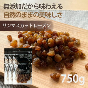 hCt[c [Yy1000~OFF N[| zzzhCt[c sgp Y T}XJbg [Y 750gi250g×3܁j ICsgp Ԃǂ َq p  