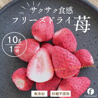 【最大50％OFF 6/11 9:59まで】ドライフルーツ 無添加 砂糖不使用 国産 いちご 送料無料 フリーズドライ …