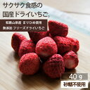 ドライフルーツ ドライいちご【30%OFF クーポン 配布中】ドライフルーツ いちご 砂糖不使用 無添加 国産 フリーズドラ…