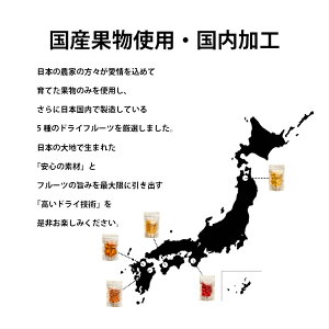ドライフルーツ国産ギフトミックスfruveseelselect