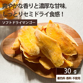 ドライフルーツ マンゴー【500円OFF クーポン 配布中】ドライフルーツ ソフト ドライマンゴー お試し 30g 着色料・香料 不使用 ギフト ティー ヨーグルト 紅茶 シリアル トッピング【送料無料】