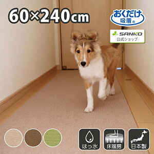 TR[ YȂ z 􂦂   n J[ybg^Cv ybgpی}bg 60×240cm 4mm z {