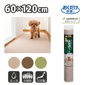 TR[ YȂ z 􂦂   n J[ybg^Cv ybgpی}bg 60×120cm 4mm z {