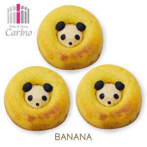 yZOONUTS 3P p_zoii Y[ibc Ăh[ic Aj}h[ic Ăَq h[ic IV JCC XC[c wV[ J[m   ߃XC[c v[g 