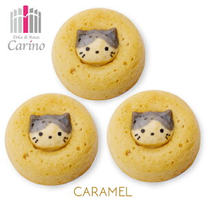 yZOONUTS 3P lRz L L Y[ibc Ăh[ic Aj}h[ic Ăَq h[ic IV JCC XC[c wV[ J[m   lCXC[c ߃XC