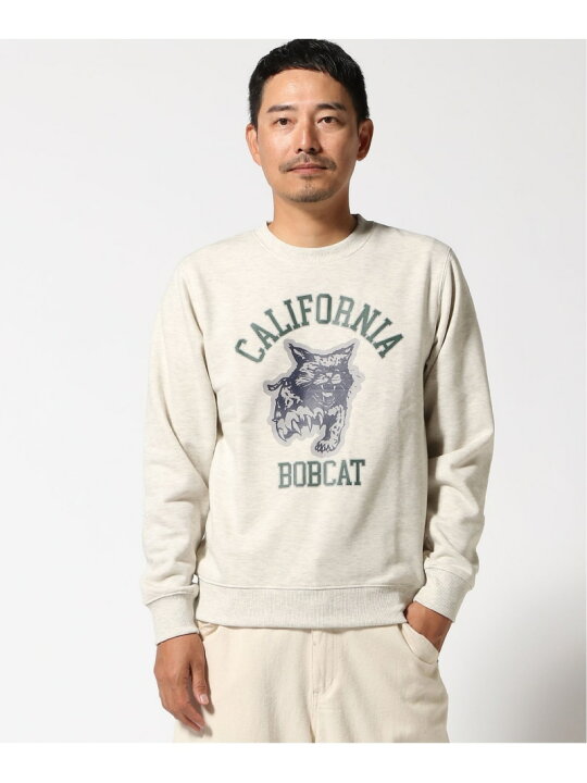 楽天市場】【SALE／20%OFF】CORISCO/(M)ウラキモウアニマルカレッジ 