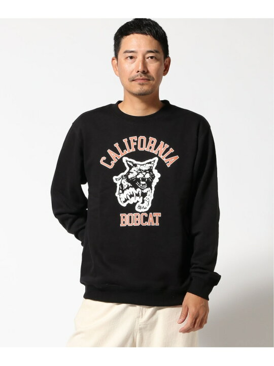 楽天市場】【SALE／20%OFF】CORISCO/(M)ウラキモウアニマルカレッジ 