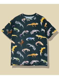 USA/C �����}�� TEE vol.7 (MENS) go slow caravan �S�[�X���[�L�����o�� �g�b�v�X �J�b�g�\�[�ET�V���c �u���[ �z���C�g �l�C�r�[�y���������z[Rakuten Fashion]