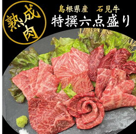 【熟成肉 特撰6点盛り】 熨斗対応 高級焼肉セット 和牛 熟成肉 三幸園 焼肉 盛り合わせ セット 420グラム 焼肉 焼き肉 熟成焼肉 エイジングビーフ ギフト 贈り物 お取り寄せ 焼肉ギフト お中元 お歳暮 肉 神保町（焼肉処三幸園）