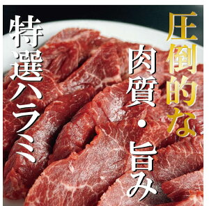 yn~z ē Ă ₫ɂ  ͂ o[xL[  ɂ v[g H  BBQ Mtg ^t iē OKj