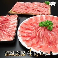 【都城産豚4kgセット（しゃぶしゃぶ・スライス・切落とし）】母の日 プレゼント 内祝い お返し ギフト 卒…
