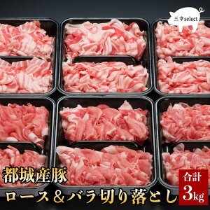 ysY؃[Xo؂藎3kgz̓ v[g j Ԃ Mtg Əj wj@Y  ؓ ʔ j yV   O ̓ Hi a