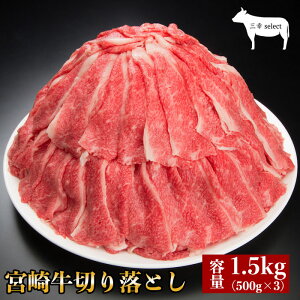 y{苍؂藎Ƃ1.5kg A4Nz̓ v[g j Ԃ Mtg Əj wj { Y   ʔ j yV   O ̓ Hi a {苍