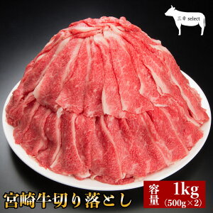 y{苍؂藎Ƃ1kg A4Nz̓ v[g j Ԃ Mtg Əj wj { Y   ʔ j yV   O ̓ Hi a {苍