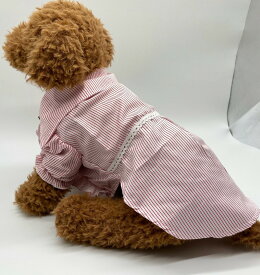 【P15倍7、8、9、10日限定】ペット服 犬服　ストライプ柄　レース 　ピンク　おしゃれ服 かわいい 　可愛い　ドッグウェア フォーマルドレス