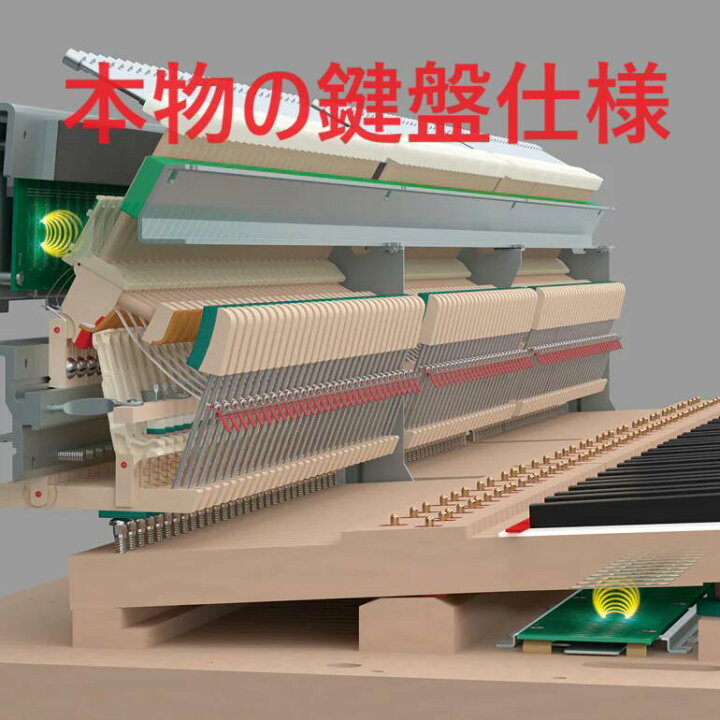 楽天市場】NU1XA YAMAHA ヤマハ ハイブリッドピアノ AvantGrand 納品 