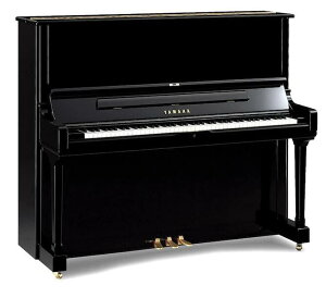 }n SU7 Vi AbvCgsAm YAMAHA