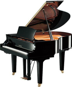 }n C1X-SH3 Vi TCg@\t  OhsAm YAMAHA