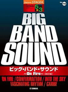 y 5`3 GNg[STAGEA |s[ VOL.114/rbOEohETEh `On Fire` 