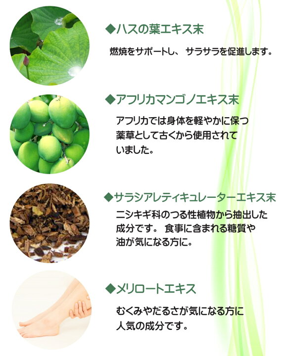 楽天市場】【送料無料】ギムネマ サプリ サラシア 白いんげん豆配合のファビギム 大容量360粒 (約6ヶ月分) ファビノール 白インゲン豆 ギムネマ キトサンを高配合 糖質が気になる方に : 三共サプリ 楽天市場】【送料無料】ギムネマ サプリ サラシア 白いんげん豆配合のファビギム 大容量360粒 (約6ヶ月分) ファビノール 白インゲン豆 ギムネマ キトサンを高配合 糖質が気になる方に : 三共サプリ
