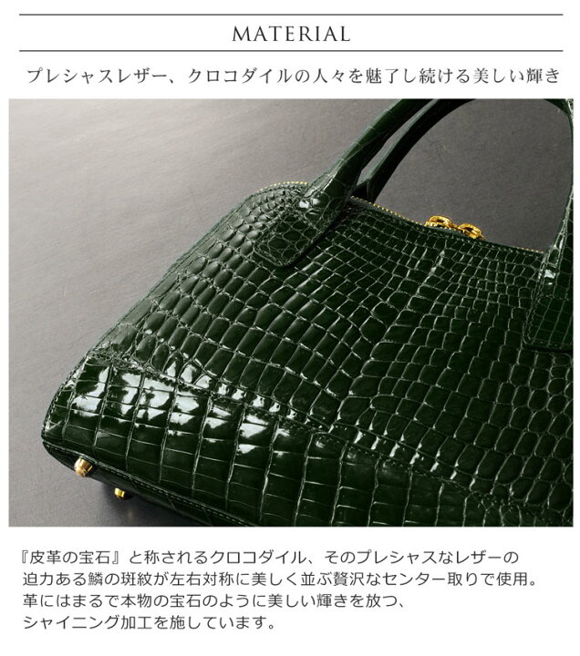 THE ROW Margaux 12 Bag in Alligator