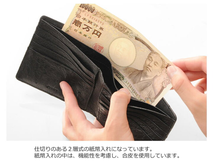 楽天市場】【クーポン対象!】フルポイント オーストリッチ 薄い 2  