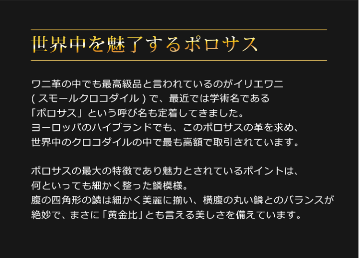 楽天市場】【5%offクーポン】スモール クロコダイル レディース 長財布