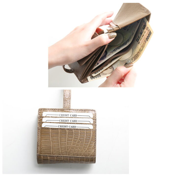 楽天市場】クロコダイル 二つ折り 財布 レディース マット 加工 ベルト  