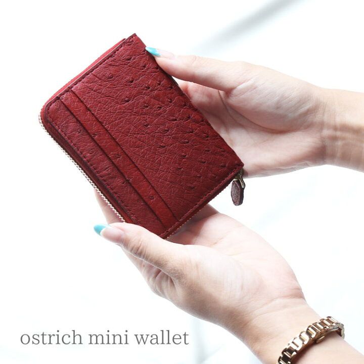 楽天市場】オーストリッチ コンパクト 財布 レディース 女性 ミニ財布 