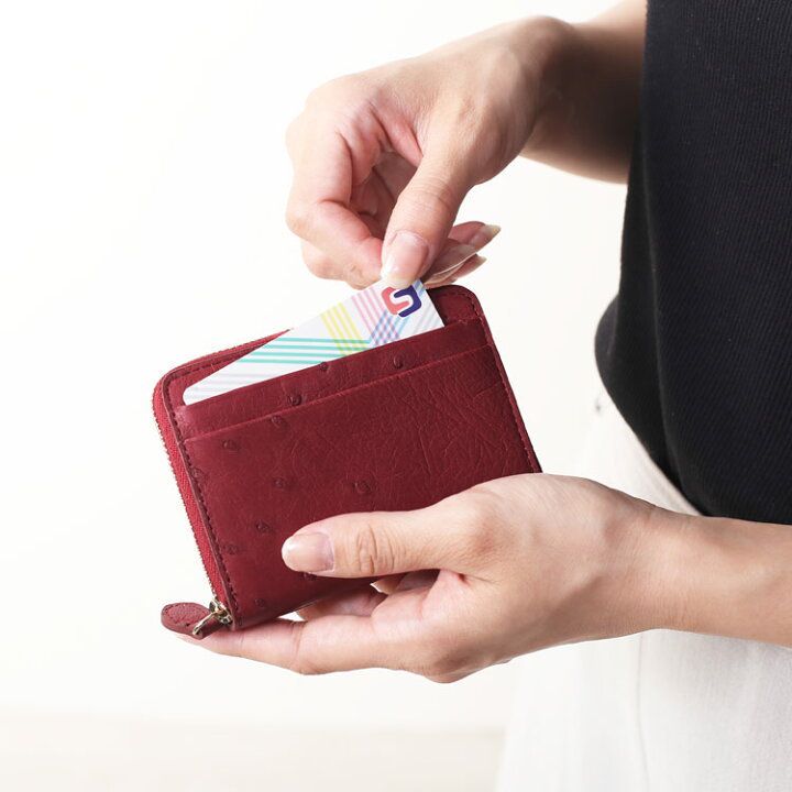 楽天市場】オーストリッチ コンパクト 財布 レディース 女性 ミニ財布 