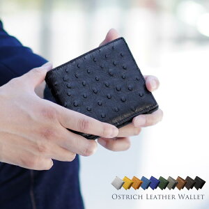 オーストリッチ メンズ 財布 メンズ二つ折り財布 通販 人気ランキング 価格 Com オーストリッチ メンズ 財布 メンズ二つ折り財布 通販 人気ランキング 価格 Com