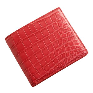 y5%offN[|zNR_C ܂z KȂ {v v }bgH o ꖇv  fB[X jv ܂ z  D RpNg Mtg v[g 4FA (06000731-1r)