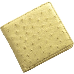 y5ItN[|z܂z fB[X {v I[Xgb` z v  U[   2܂z e RpNg  Vv a tz E Mtg v[g 4FA