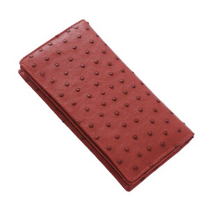 t|Cg o ꖇv I[Xgb` z fB[X Kt J[h [12 {v z wl v[g   TCt tz Mtg (9071fr)