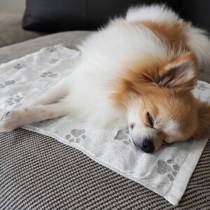 ybg ⊴}bg { ėp  L _炩 K[[^Cv ylR|Xőz ybgpi  }bg p  ⊴ V[g ⊴V[c N[}bg GRN[[ Ђ 