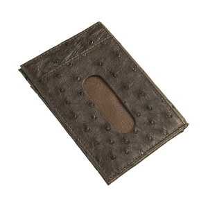 y5ItN[|zI[Xgb`pXP[X fB[X _`Ev  {v { vJ[hP[X  h h  ladiylR|Xőz tz  Mt