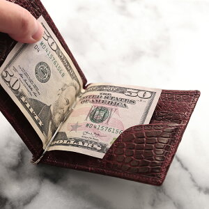 NR_C }l[Nbv z fB[X ꖇv Z^[ }bg H ܂z ܂  D D΂ { {v kv v[g Mtg 4FA (06001795r)