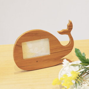 y24h10%offztHgt[ oYj VR ʐ^ ~j mieno home v[g xr[ y \zylR|XőzLbY  N}  Aj}  q LO ؐ 