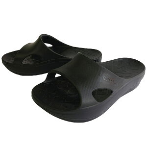 r[CN T_ Jo[T_ fB[X Habits B-MAKE ނ݉P ̊g[jO _CGbg p  {fB CN (No.09000711)