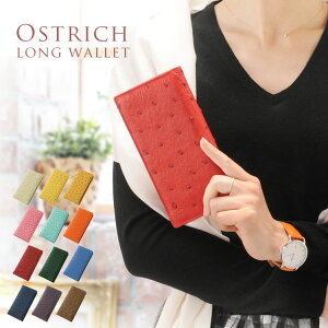 I[Xgb` z fB[X t|Cg o ꖇv S20F Kt J[h [12 {v wlz AU[ J^z NX}X Mtg v[g ꗱ{ tz _