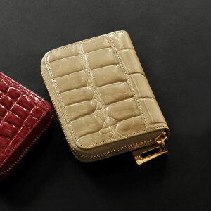 ~jz fB[X NR_C v RpNg z VCjOH Eht@Xi[ S[h  z {v NX}X Mtg v[g t@Xi[J j k