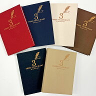 【メール便ご選択で送料無料】 日常使いの3年日記 【Past 3 Years（3年ダイアリー）】 アーティミス -ART…